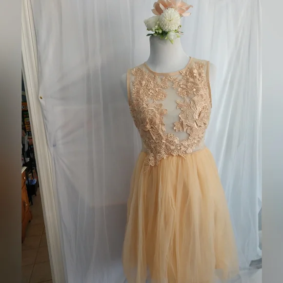chinese dress ladies Farida Peach Lace Maxi Dress - US 18